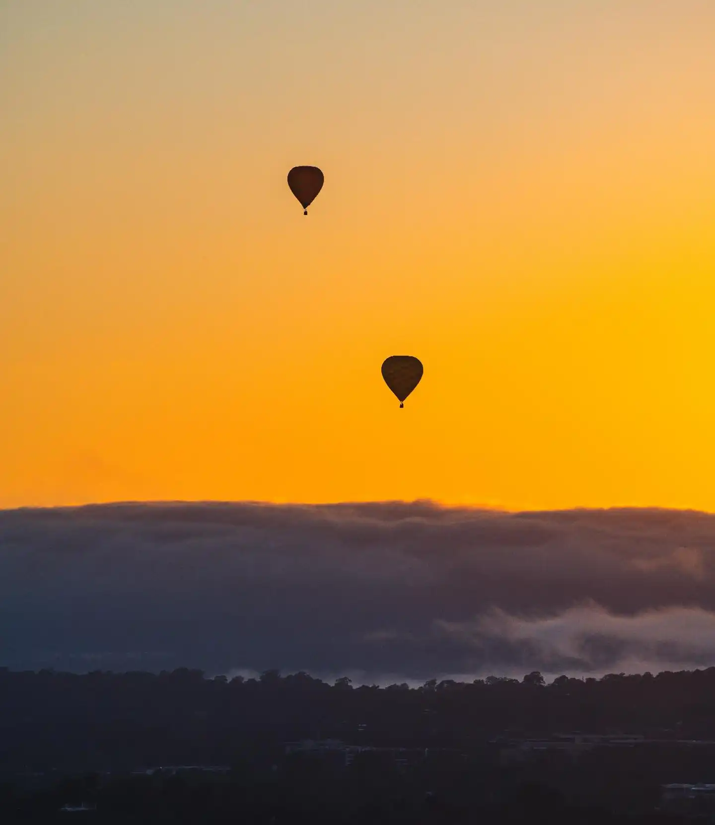 Canberra City YHA Landschaft