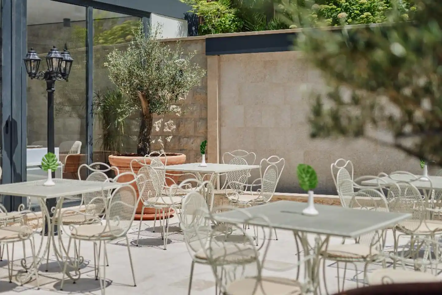 Hotel Diplomat Terrasse