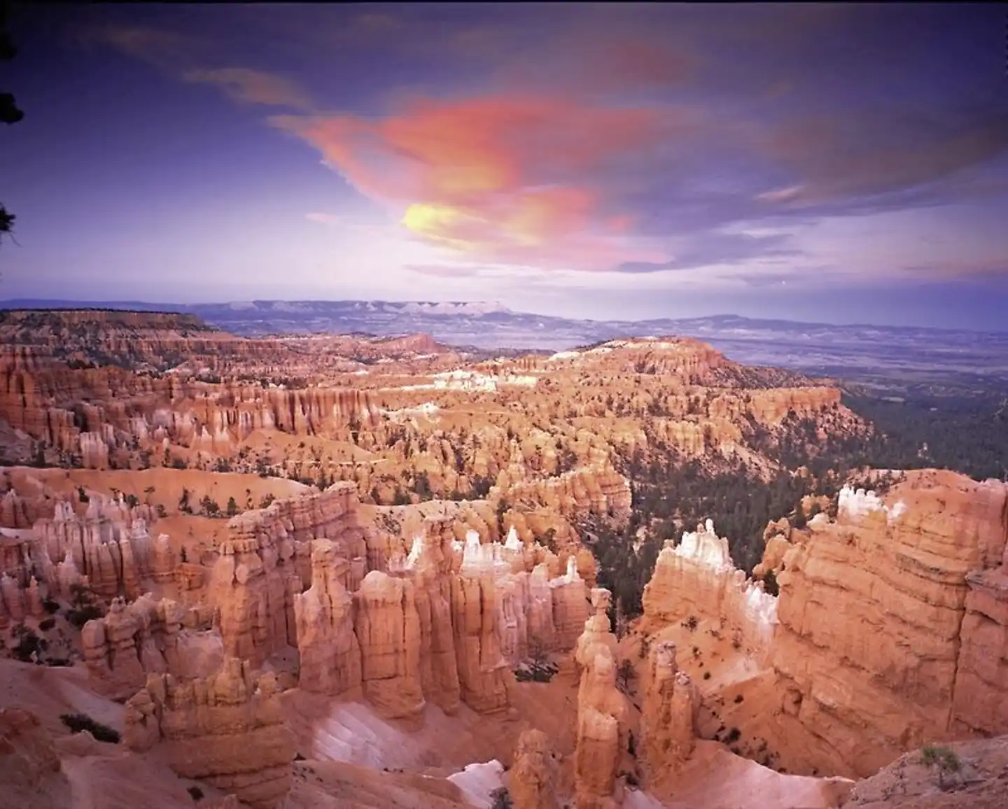 Western Triangle Landschaft