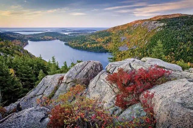 Farbenpracht des Indian Summer (ab Boston/bis New York) Tiere