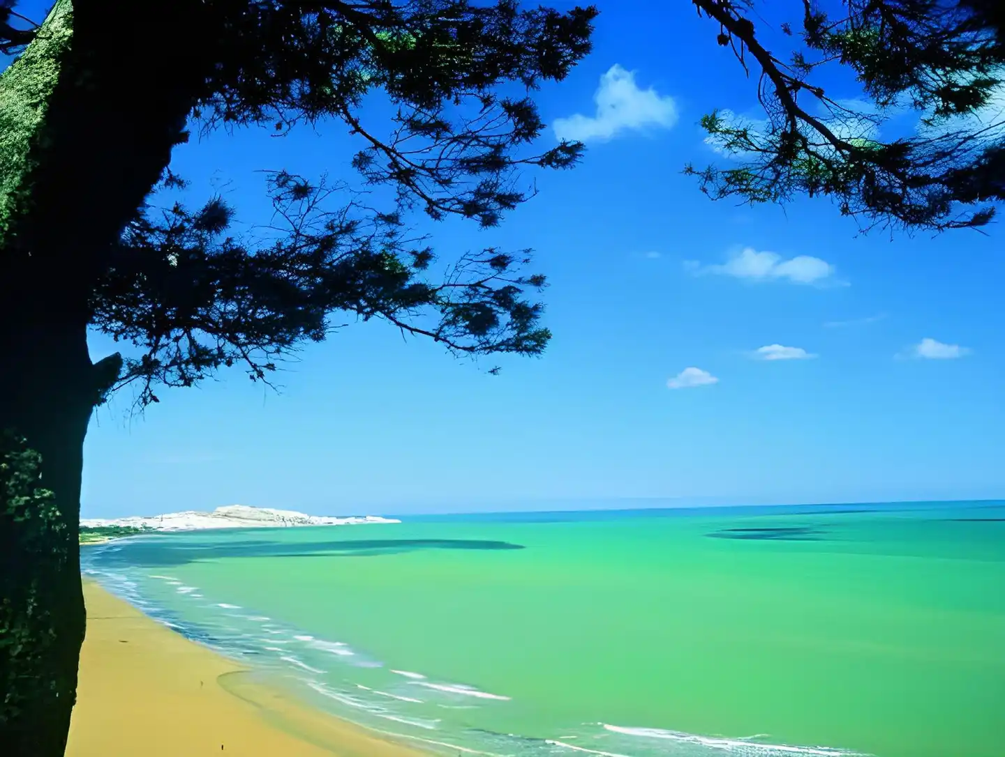 Degli Aranci Strand