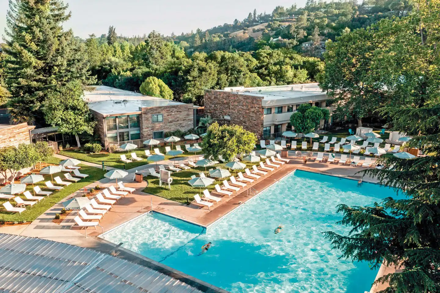 Flamingo Conference Resort & Spa Pool
