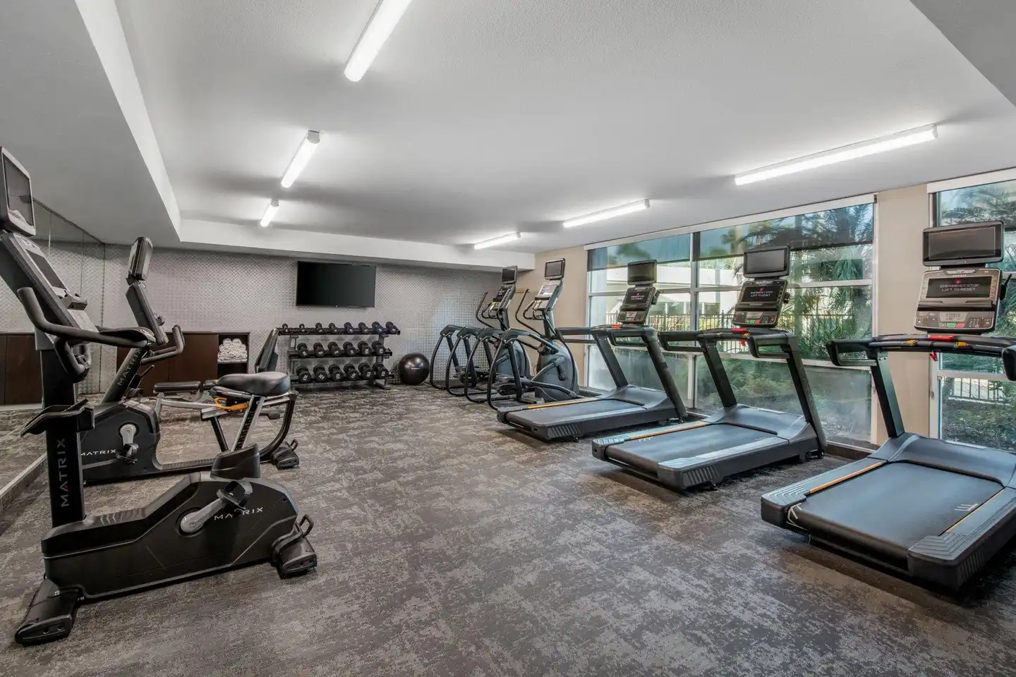 Fairfield Inn & Suites by Marriott San Jose Airport Sport und Entertainment