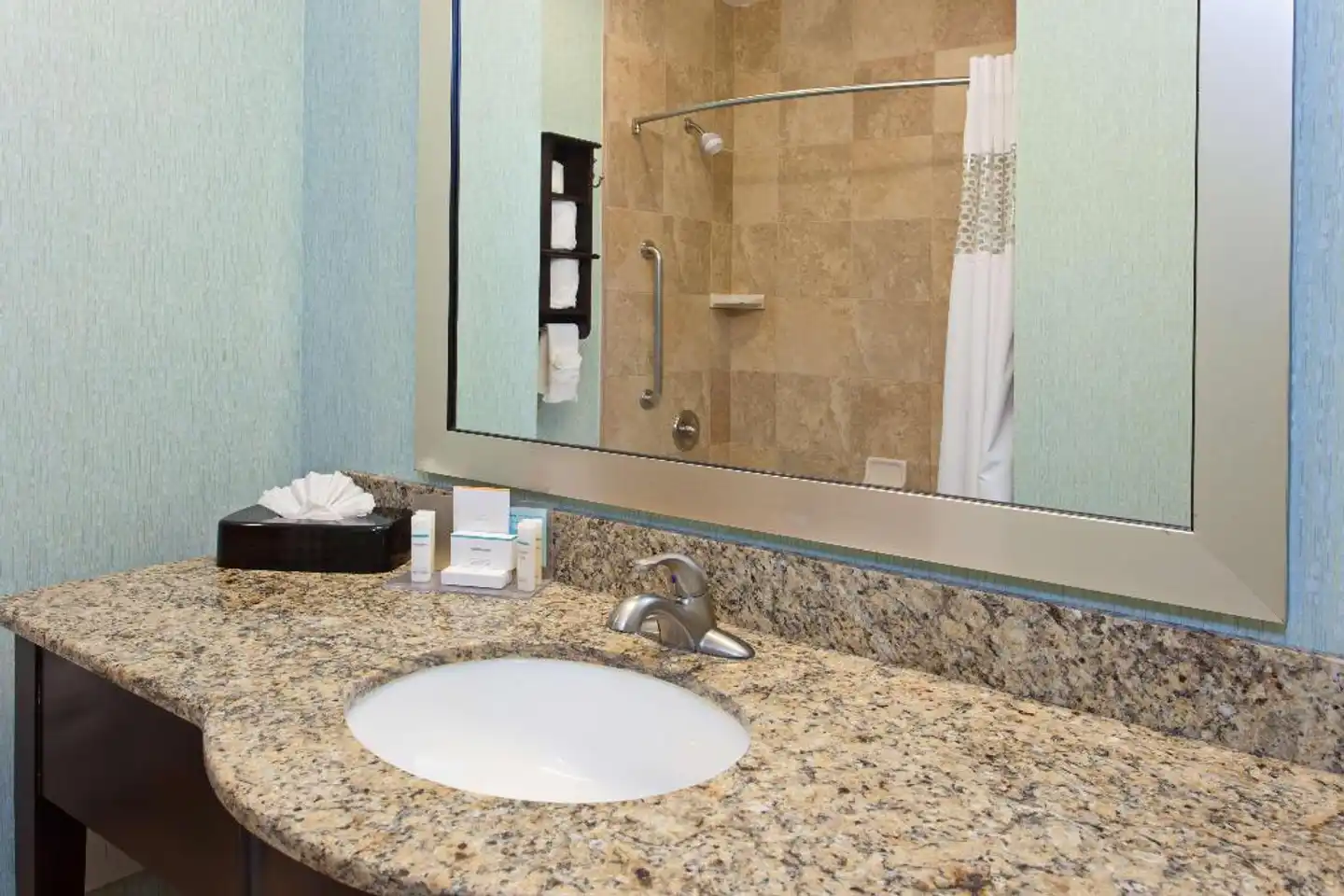 Hampton Inn Los Angeles Int'l Airport/Hawthorne Badezimmer