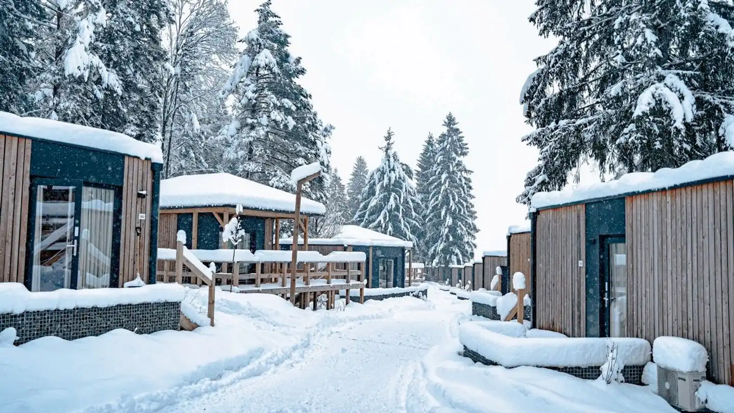 EuroParcs Pressegger See Pool