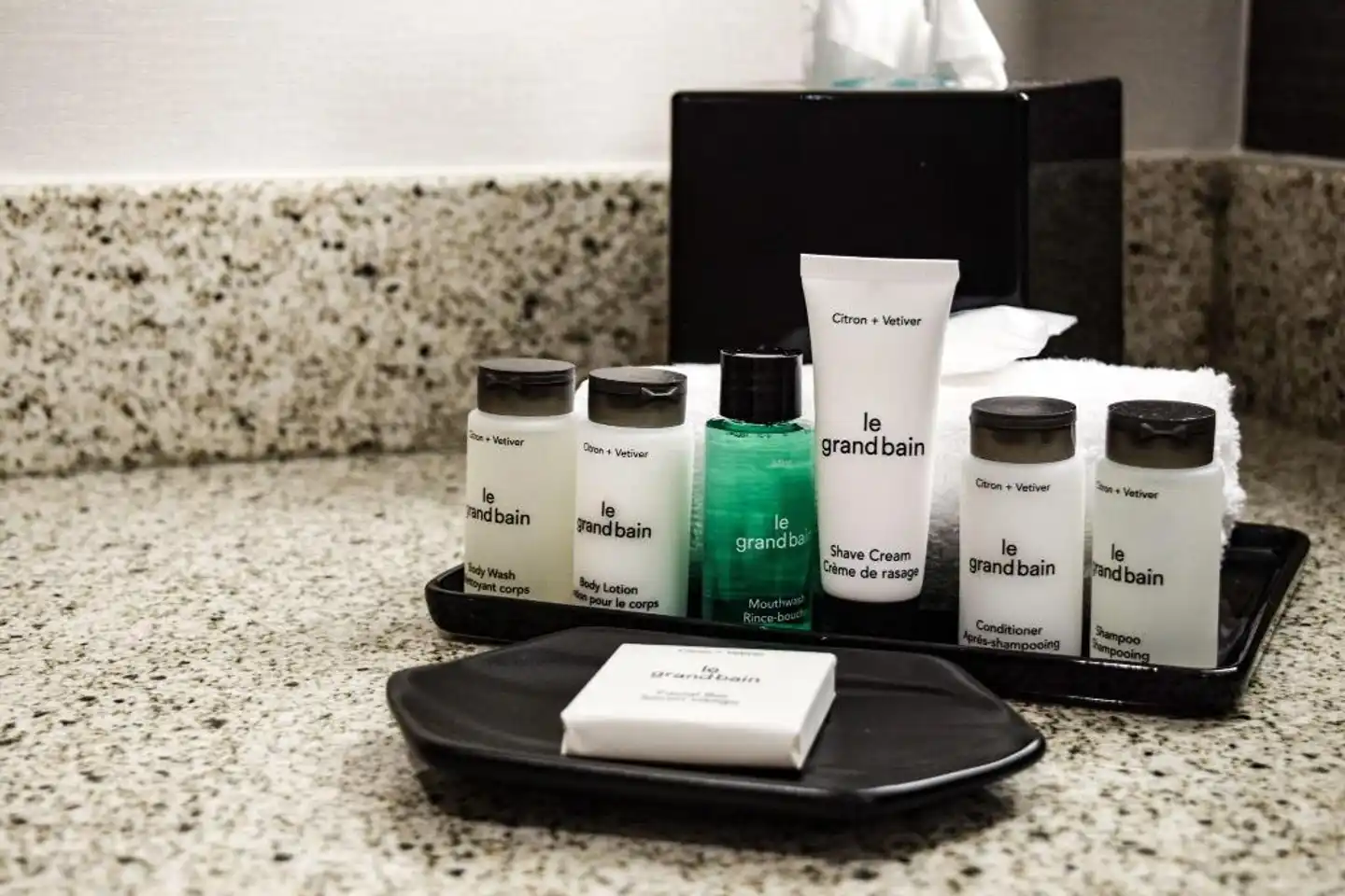 Sheraton Vancouver Airport Hotel Konferenz