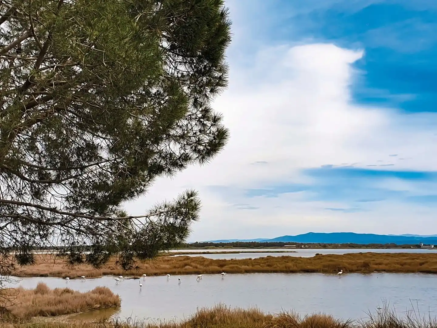 Camping S'Ena Arrubia (by Happy Camp) Landschaft