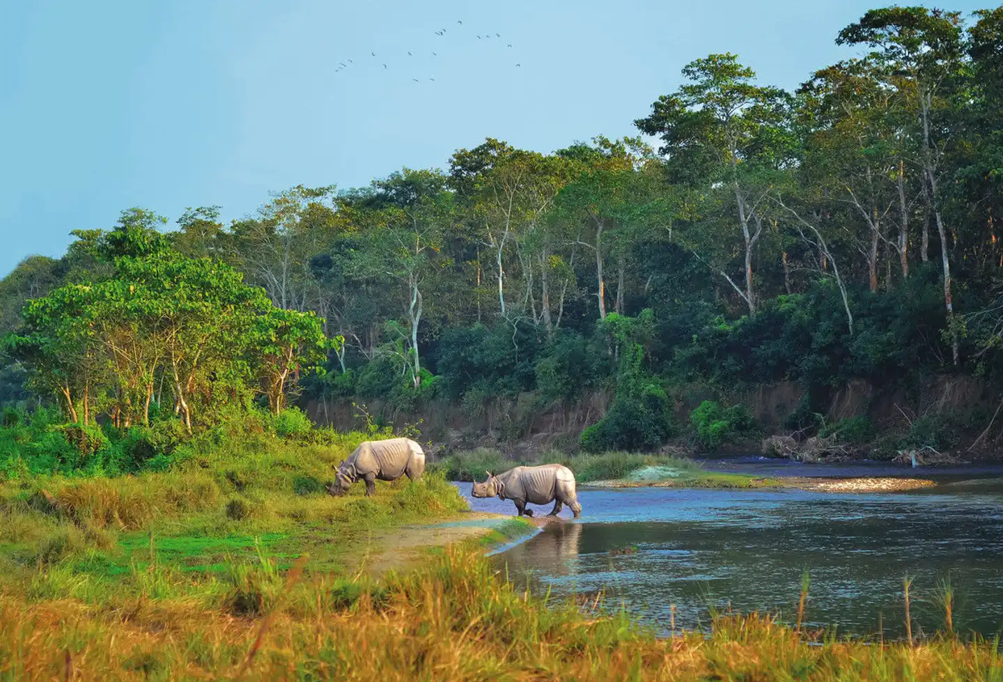 Nepal Rundreise Tiere