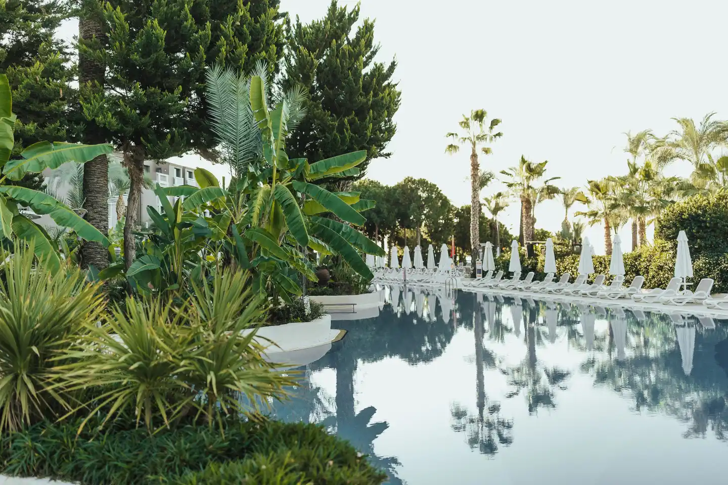 Paloma Perissia Pool