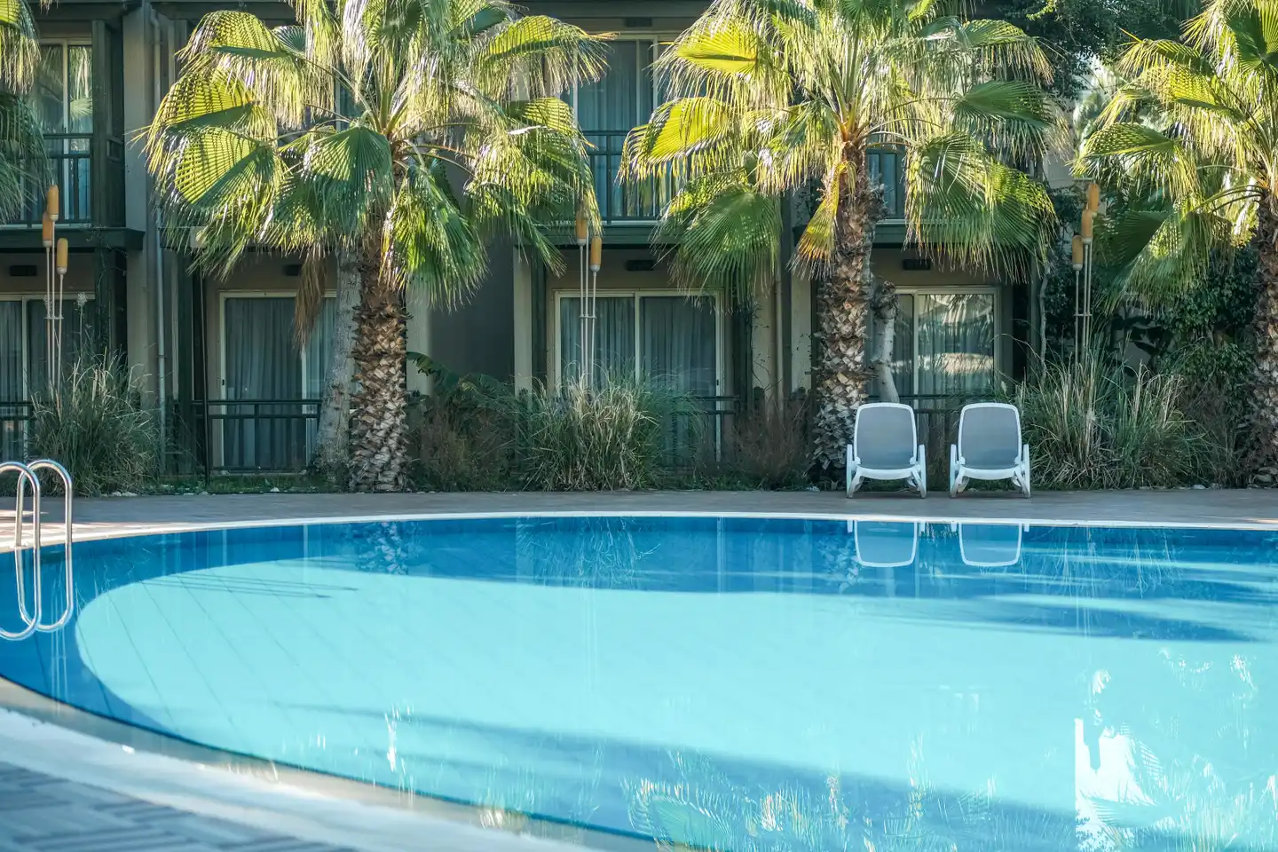 Paloma Oceana Pool