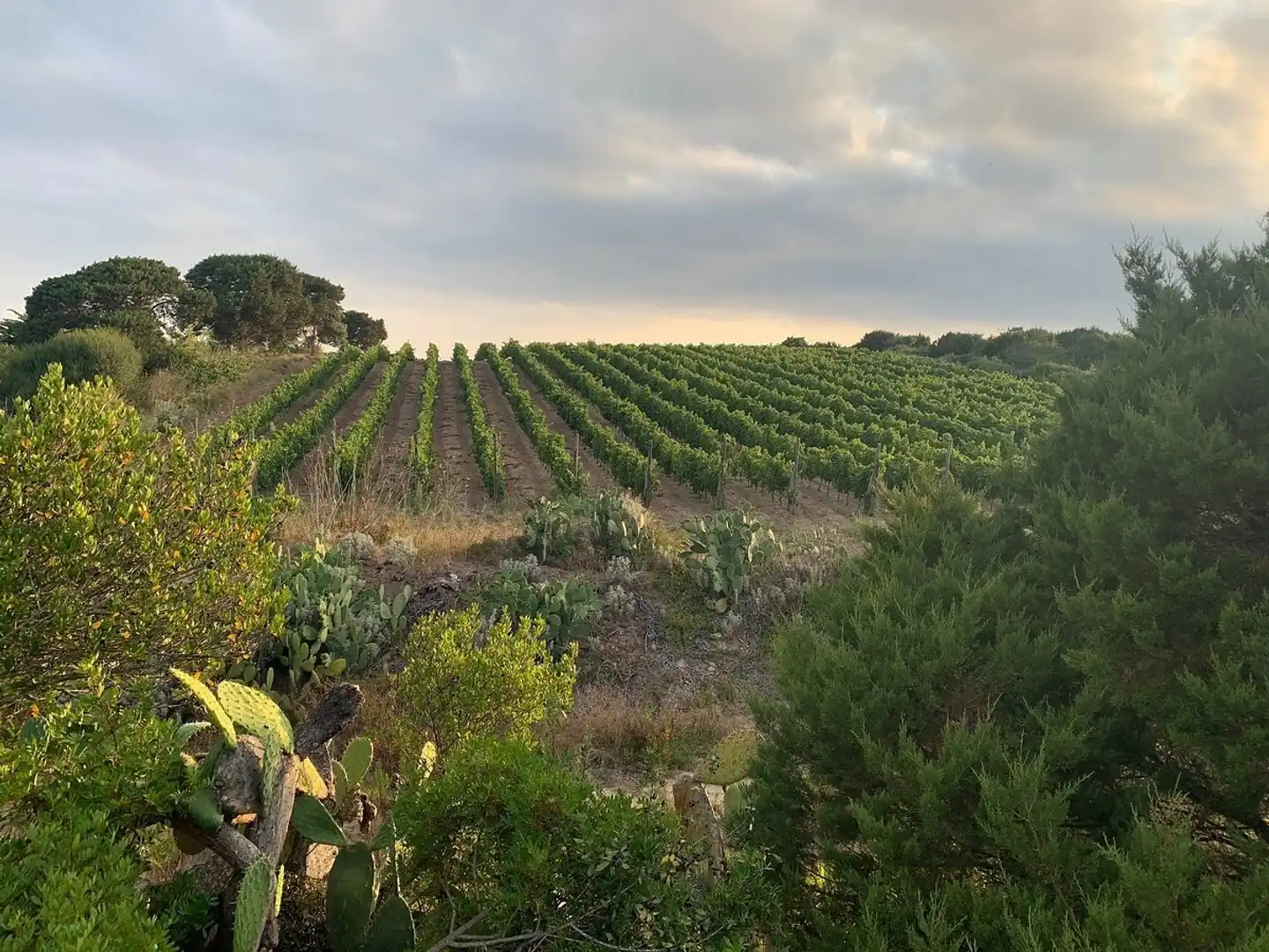 Stazzi di Gallura B&B Landschaft