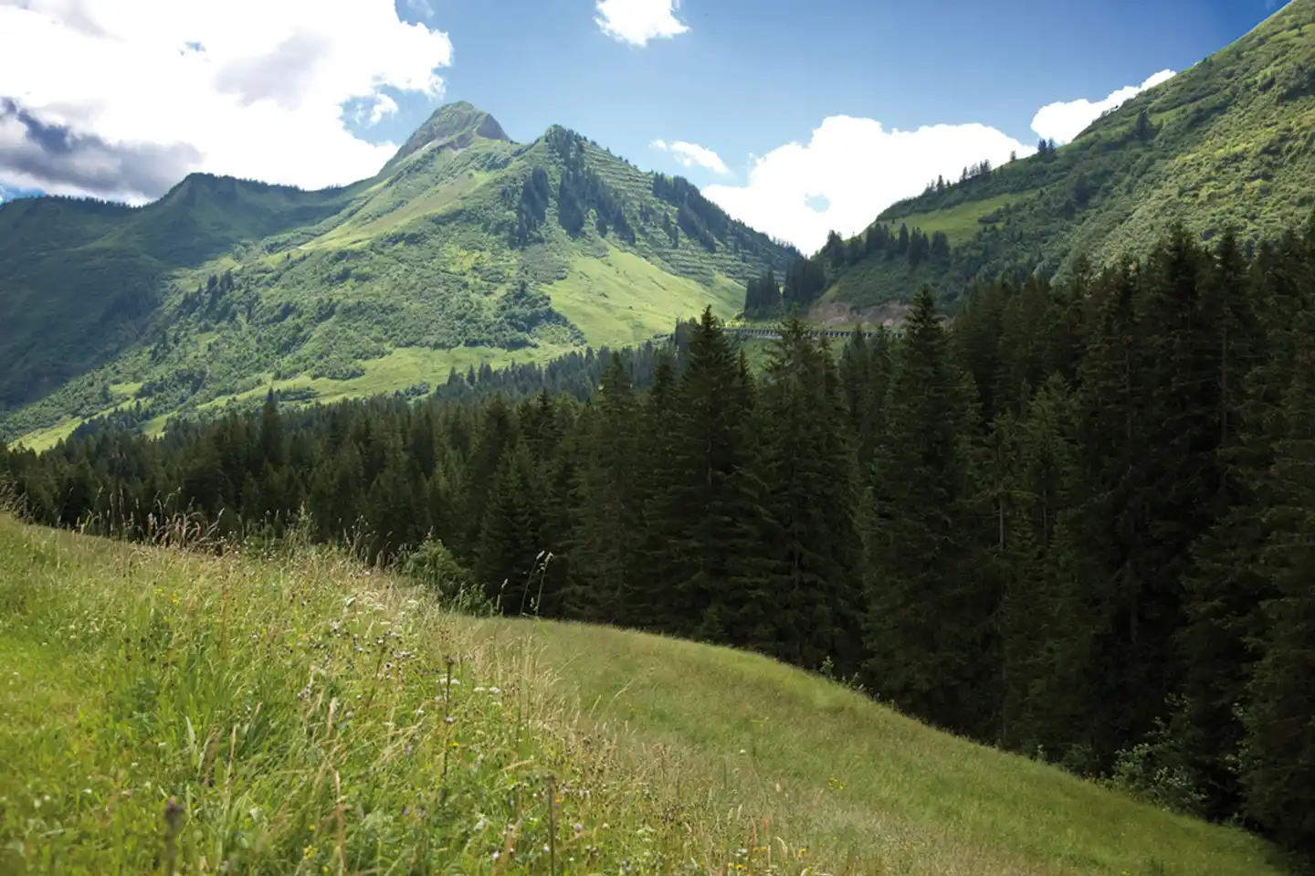 Berghotel Madlener Landschaft