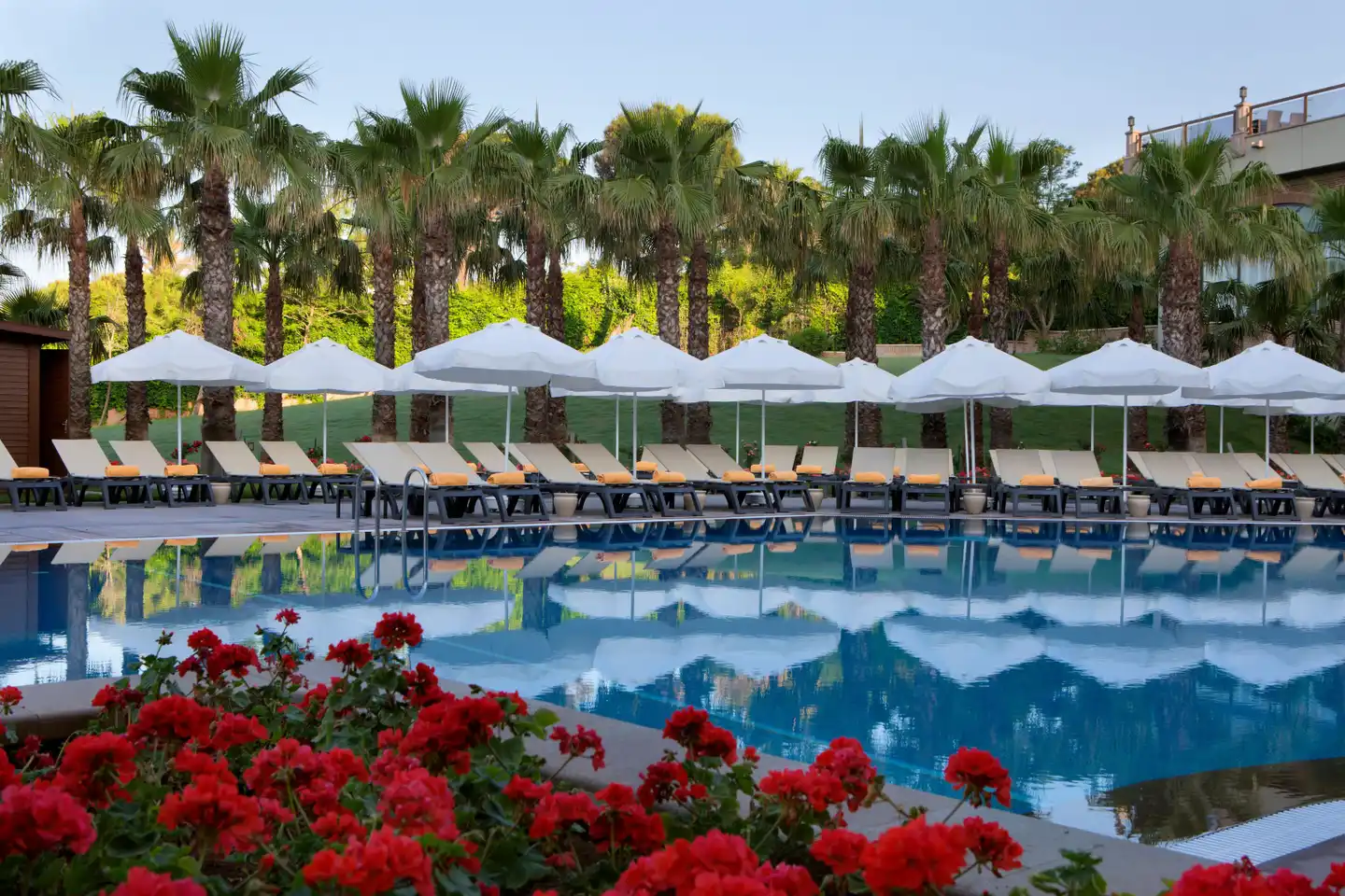 Papillon Zeugma Relaxury POOL