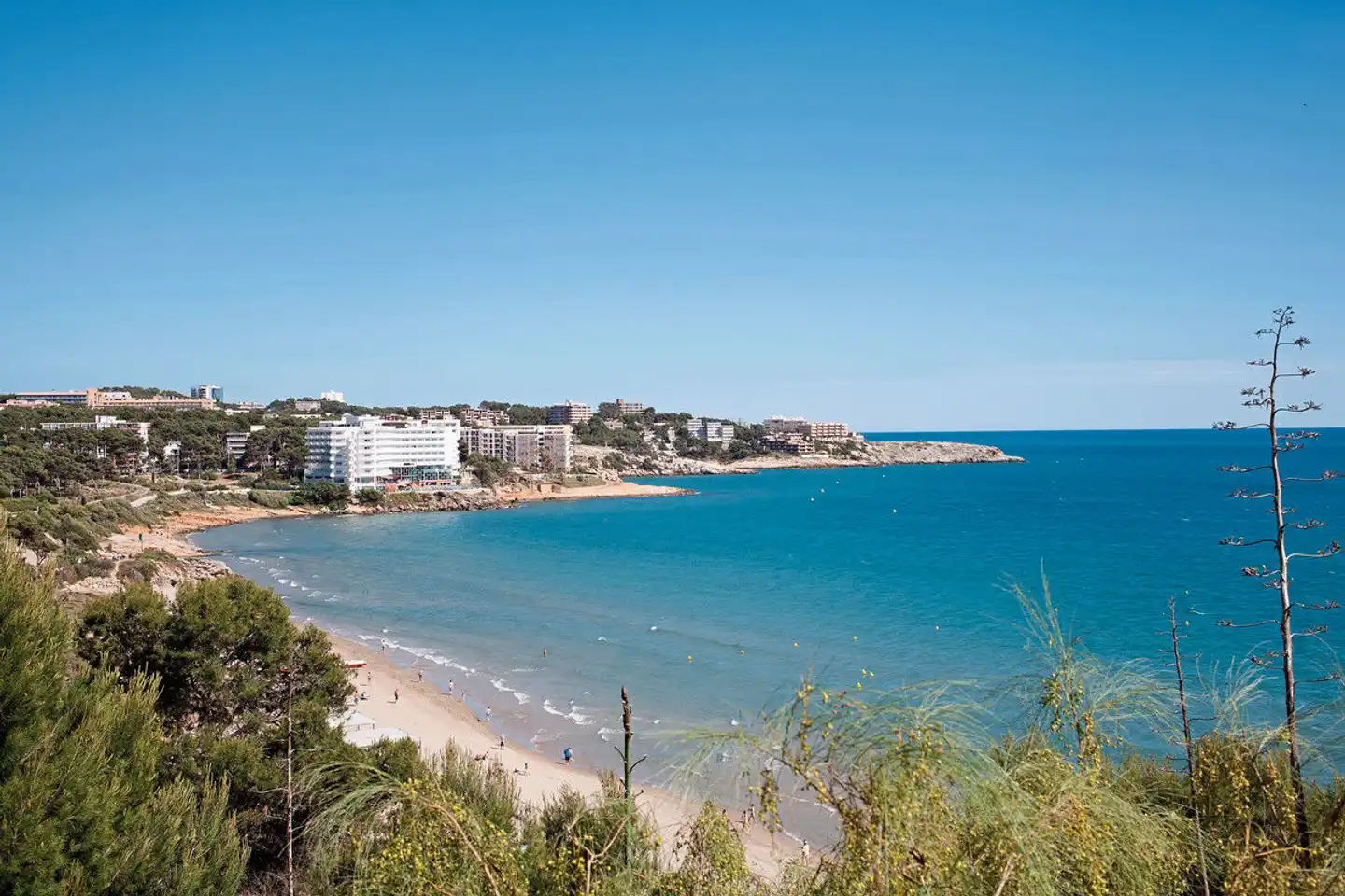 Best Negresco Landschaft