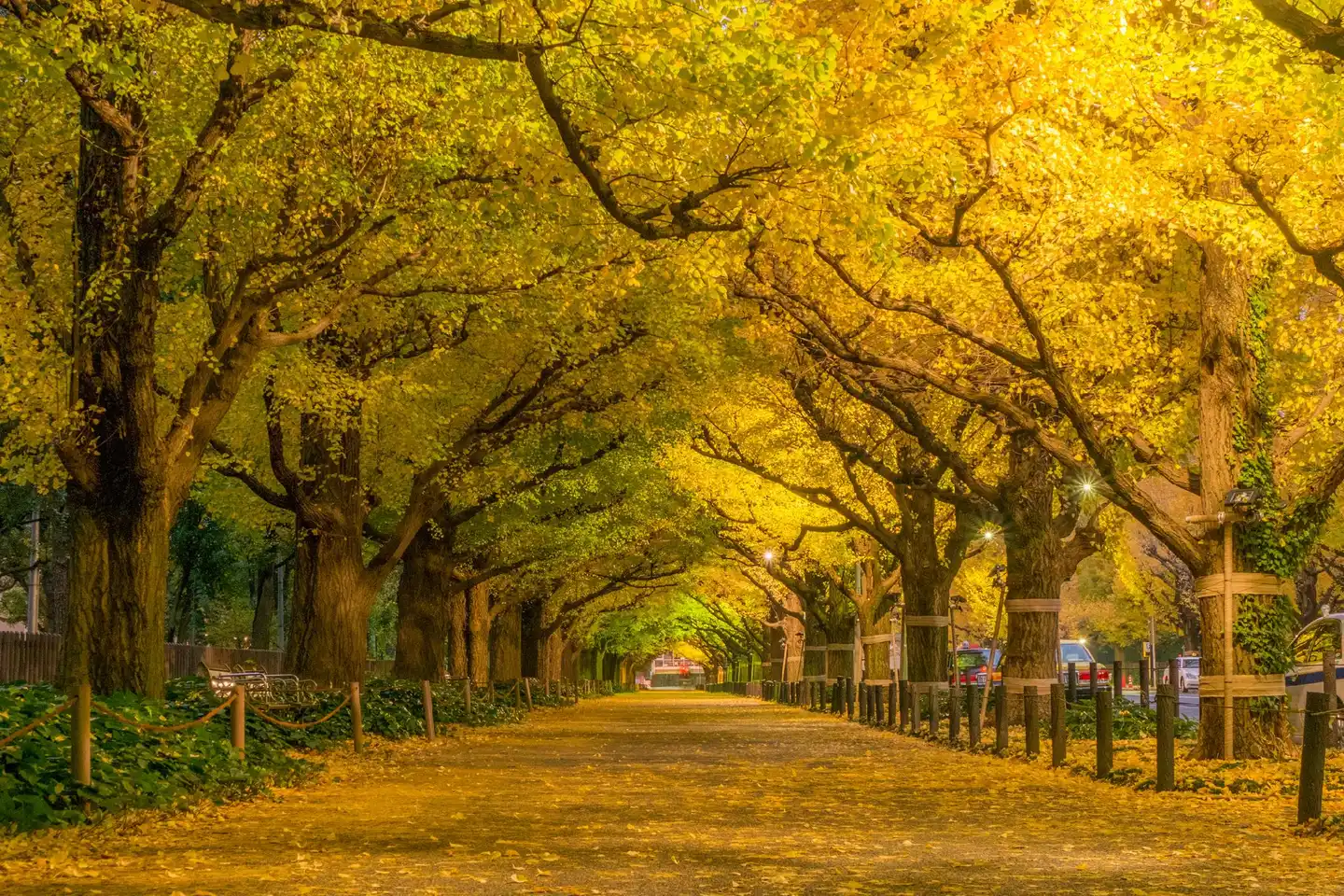 The Westin Tokyo Landschaft