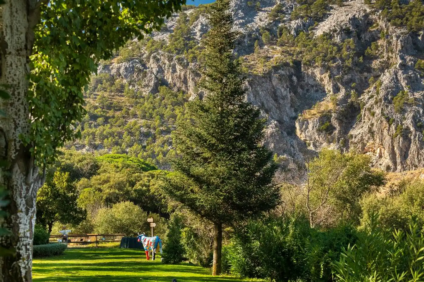 Fuerte Grazalema Landschaft