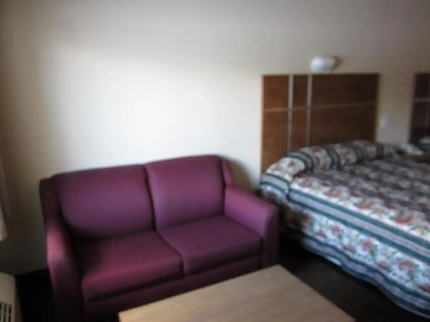 Quality Inn & Suites Clearwater Wohnbeispiel