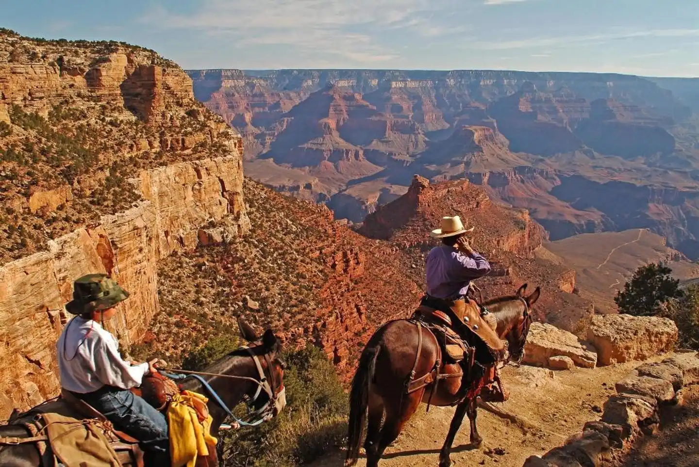 Thunderbird Lodge Tiere