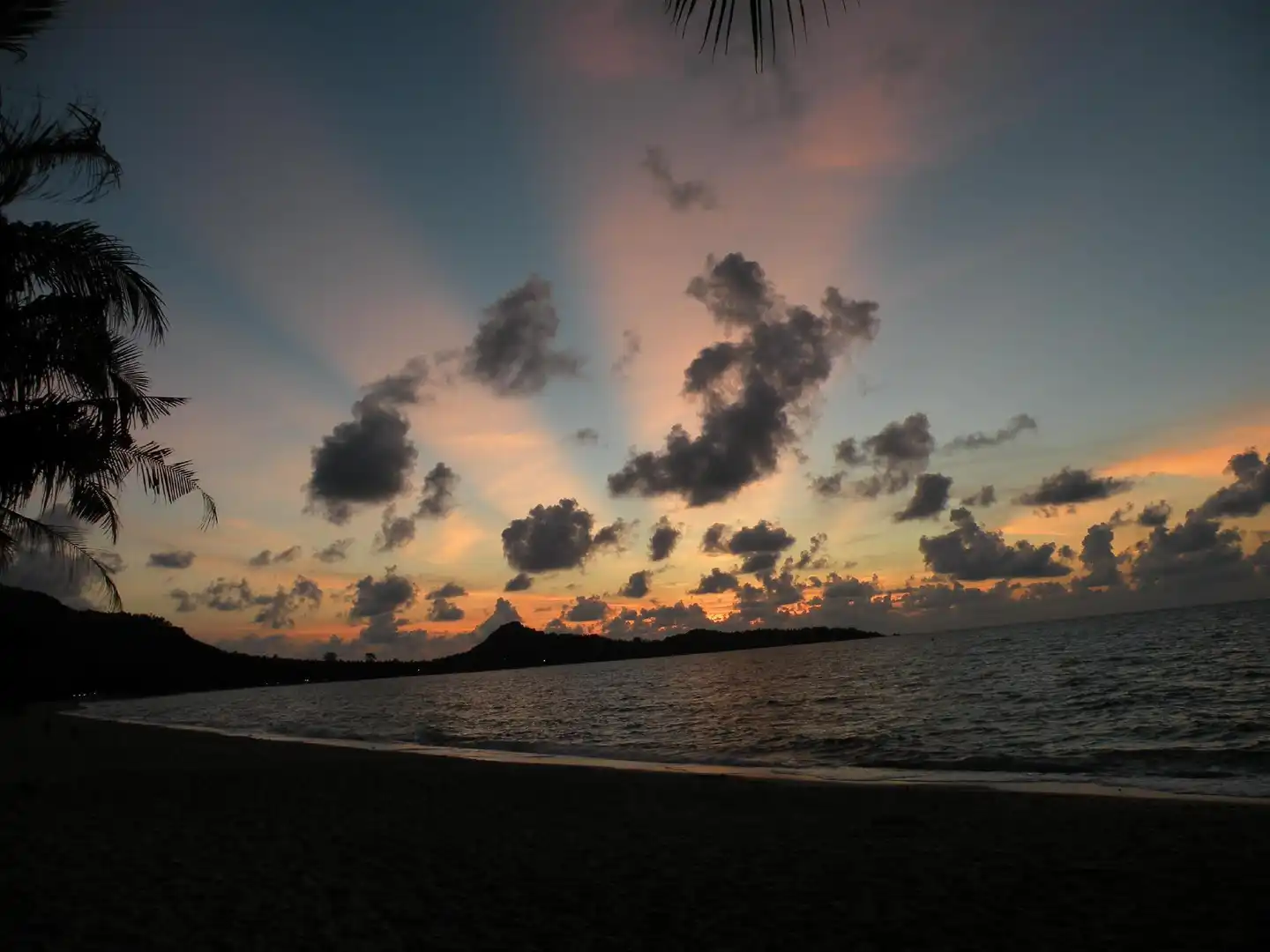 Coconut Beach Resort Tiere