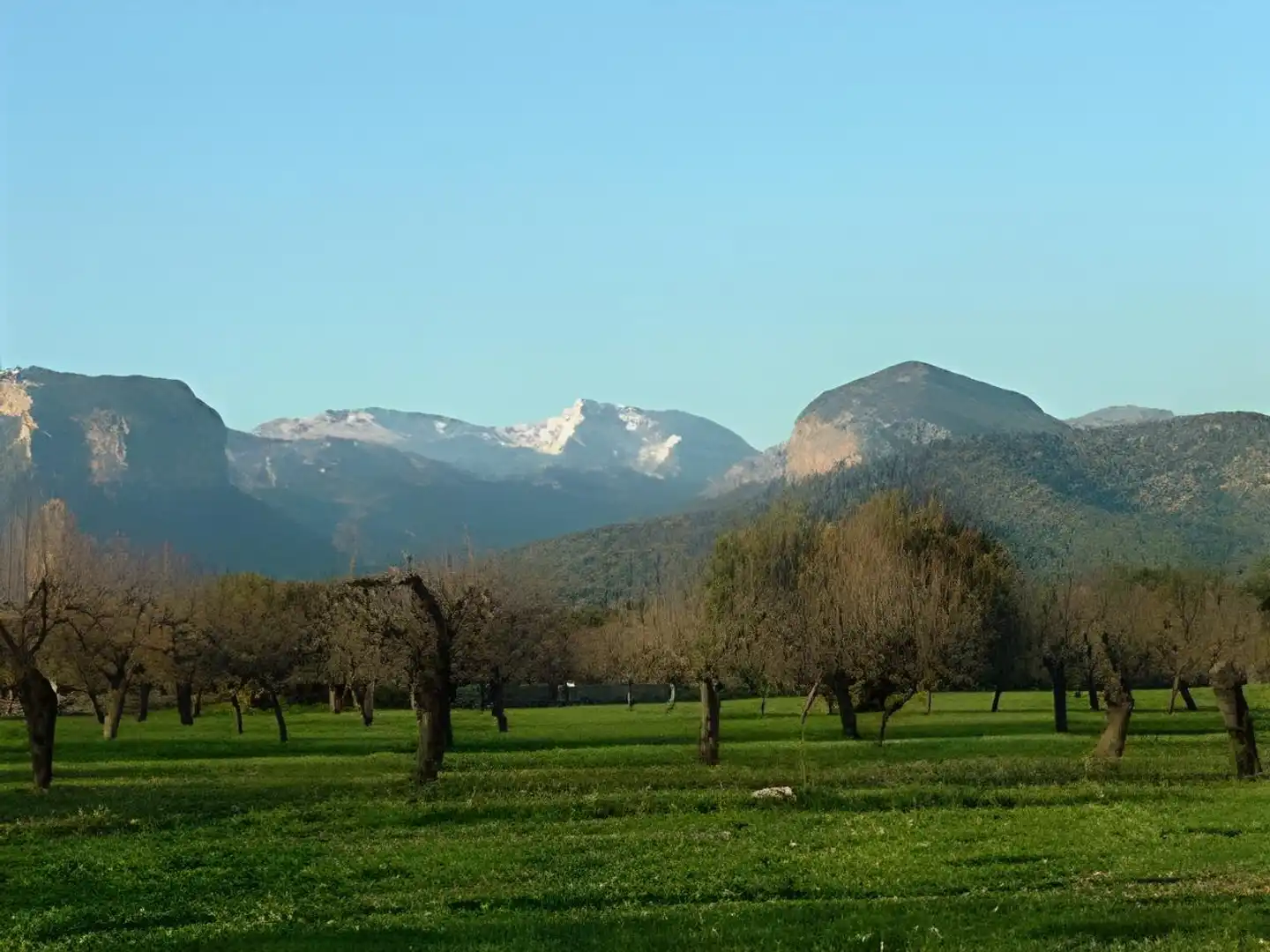Finca Sa Cabana & Spa Landschaft