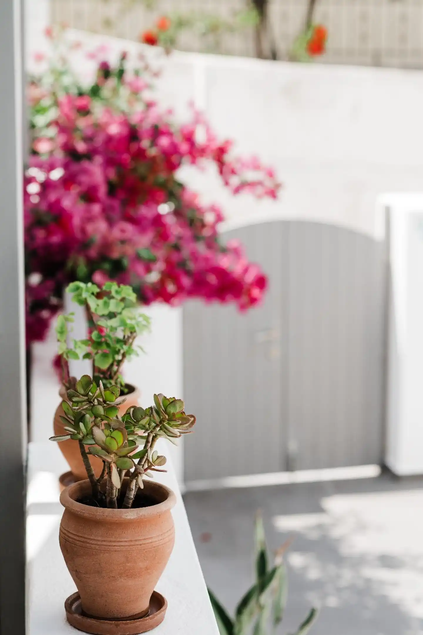 Amphitrite Suites Santorini Wellness