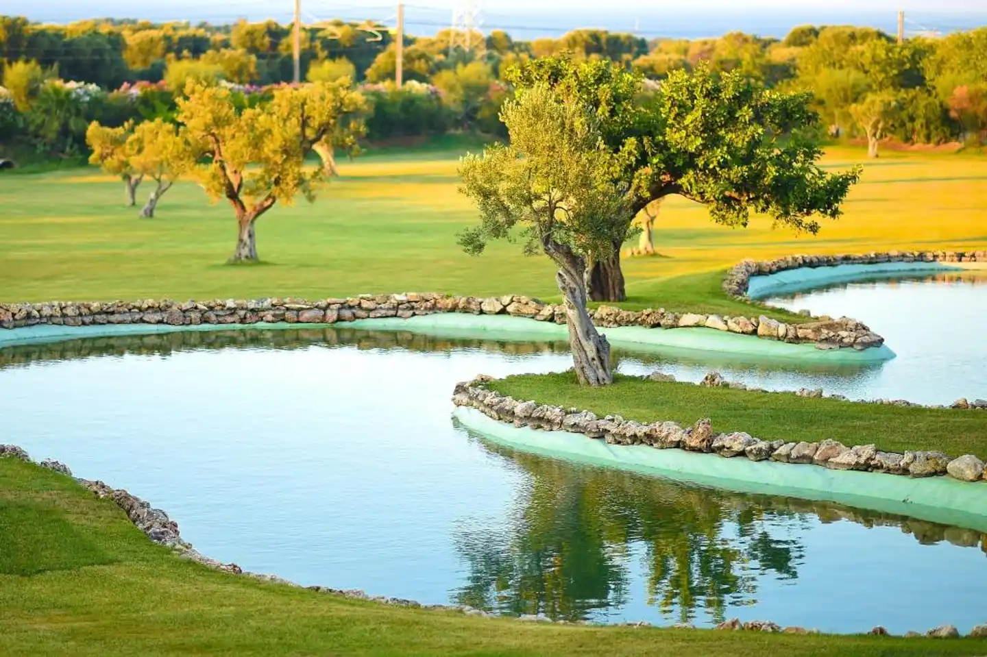 Relais Masseria Caselli Landschaft