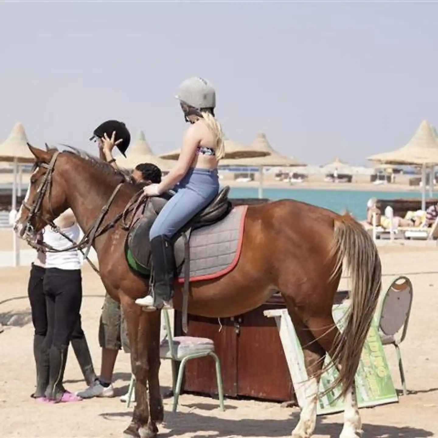 Hurghada Coral Beach Hotel Tiere