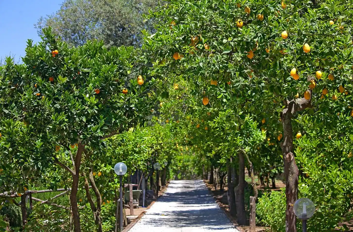 Villa Oriana Relais Garten