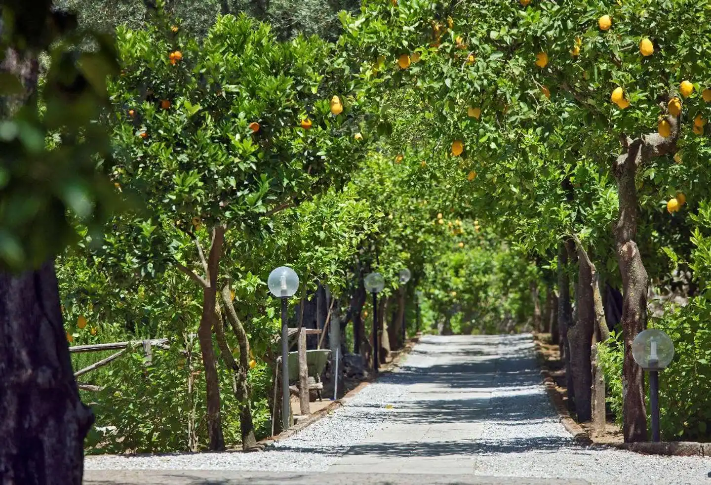 Villa Oriana Relais Garten