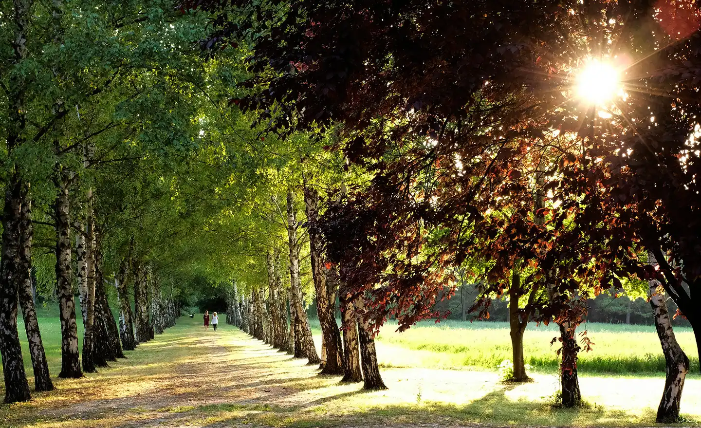 Kurhaus Marienkron Garten