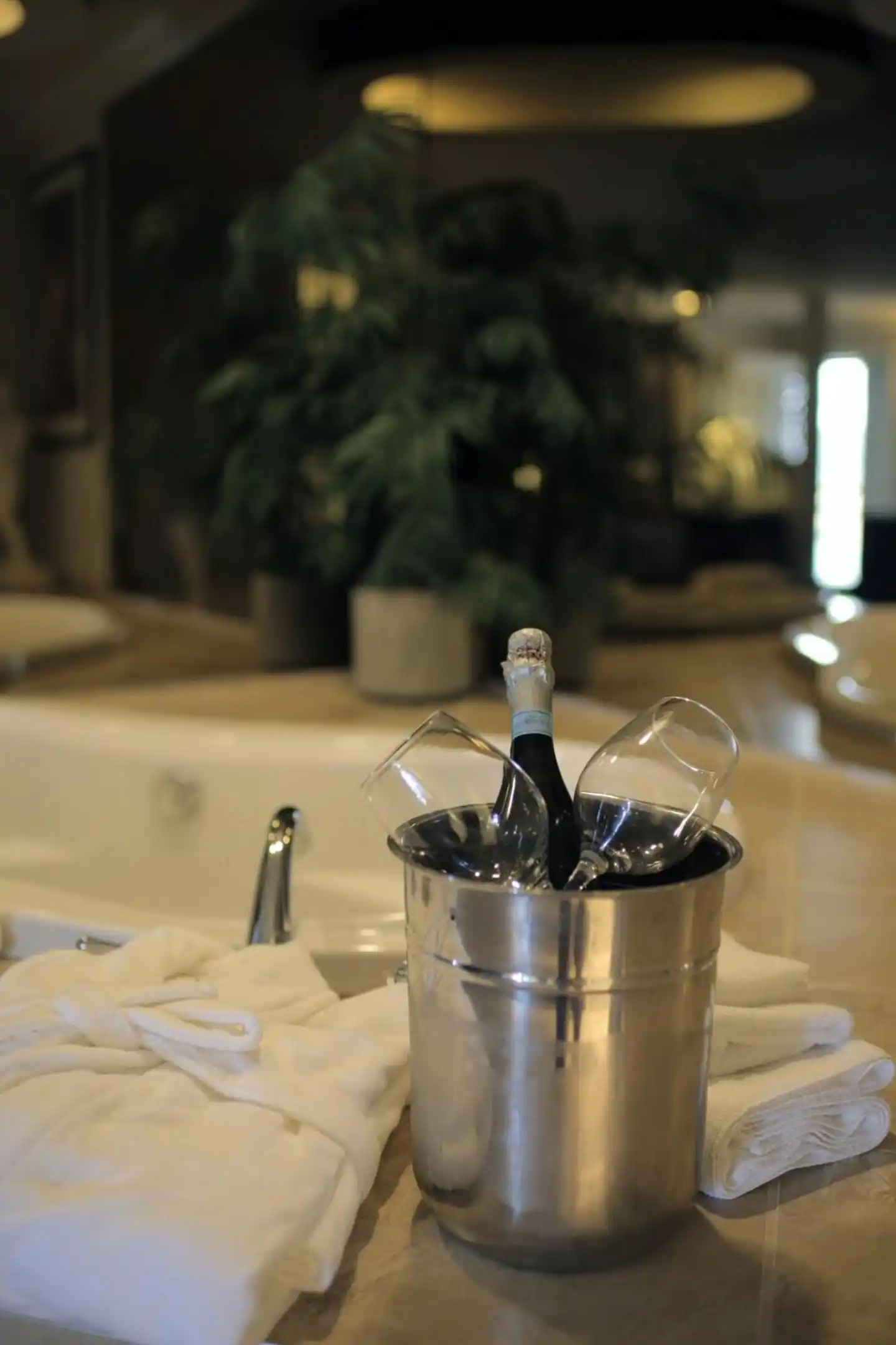 Kamloops Travelodge Mountview Wellness