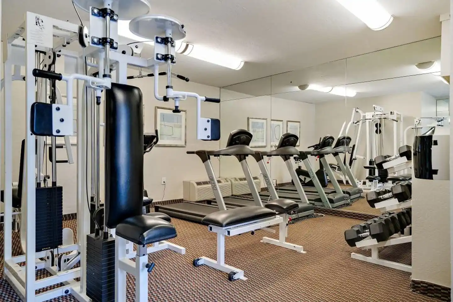 3 Palms Scottsdale Sport und Entertainment