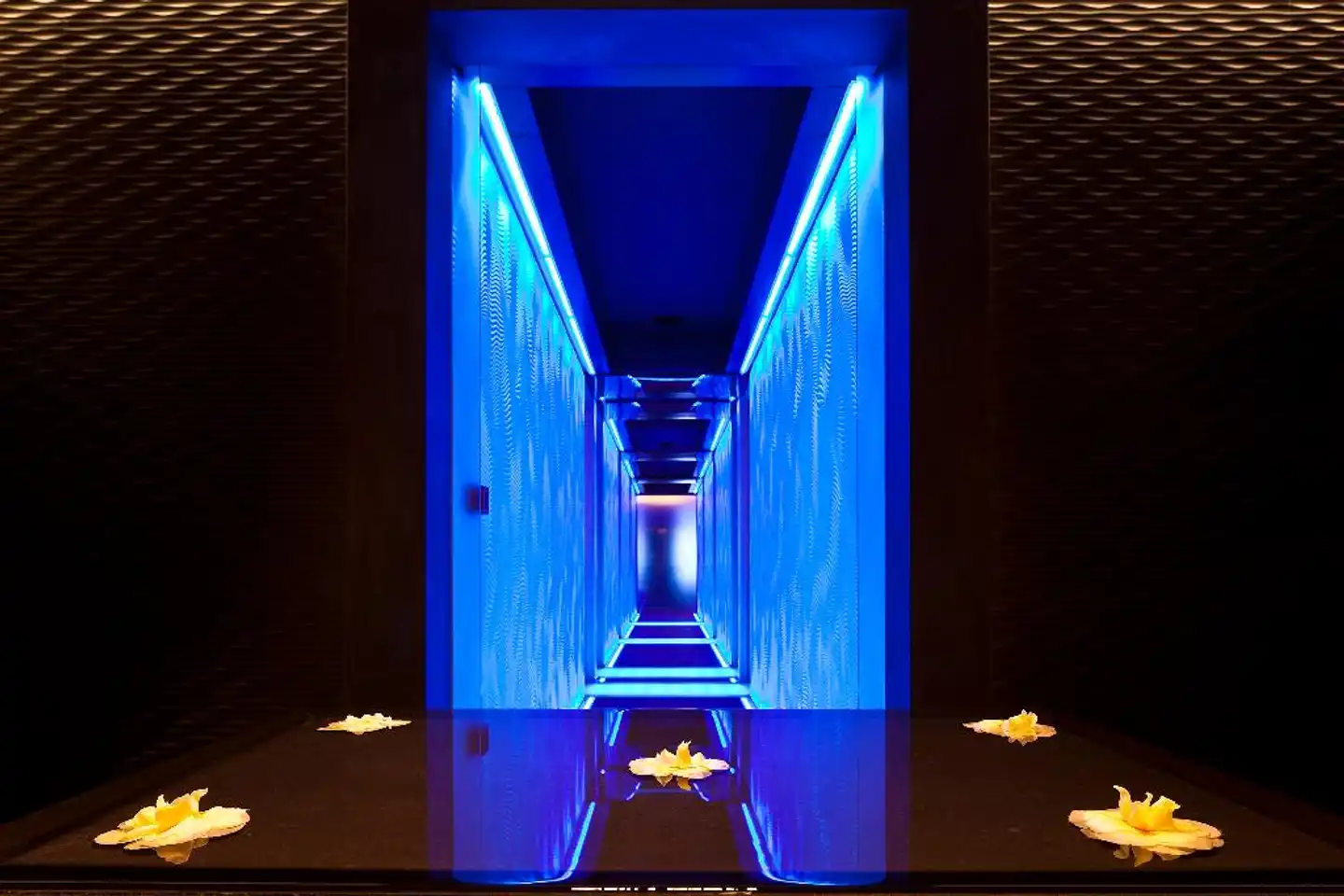 Romeo Lobby