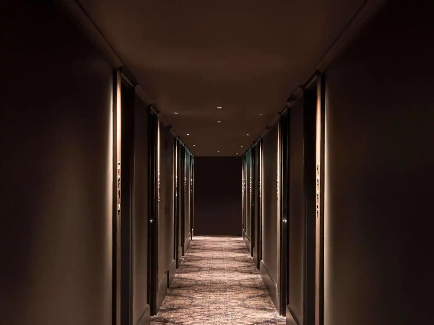 Novotel Sydney City Centre Landschaft