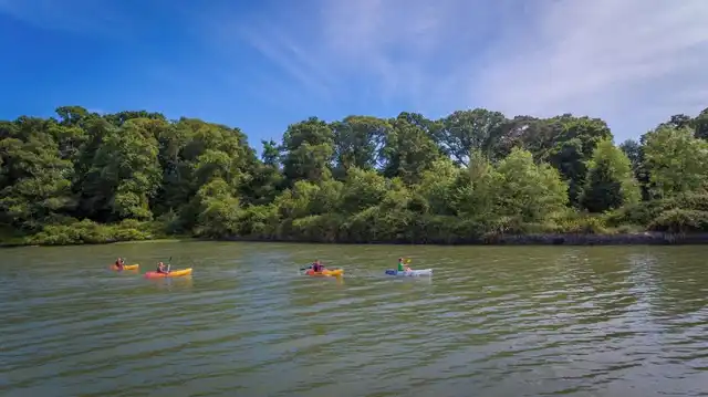 Fota Island Sport und Entertainment