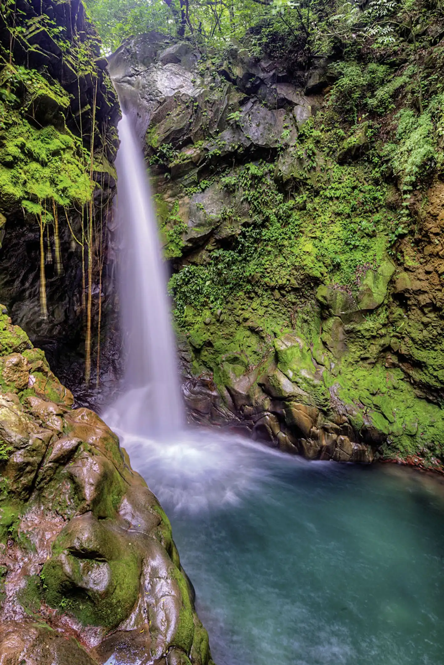 Costa Rica - Auf der Suche nach den Faultieren Landschaft