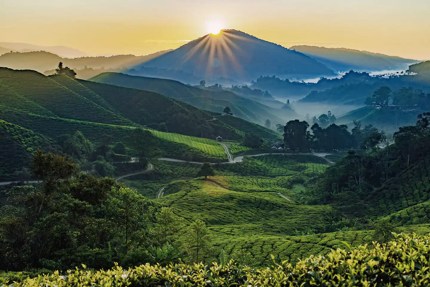 Malaysia Kaleidoskop (Gruppenreise) Landschaft