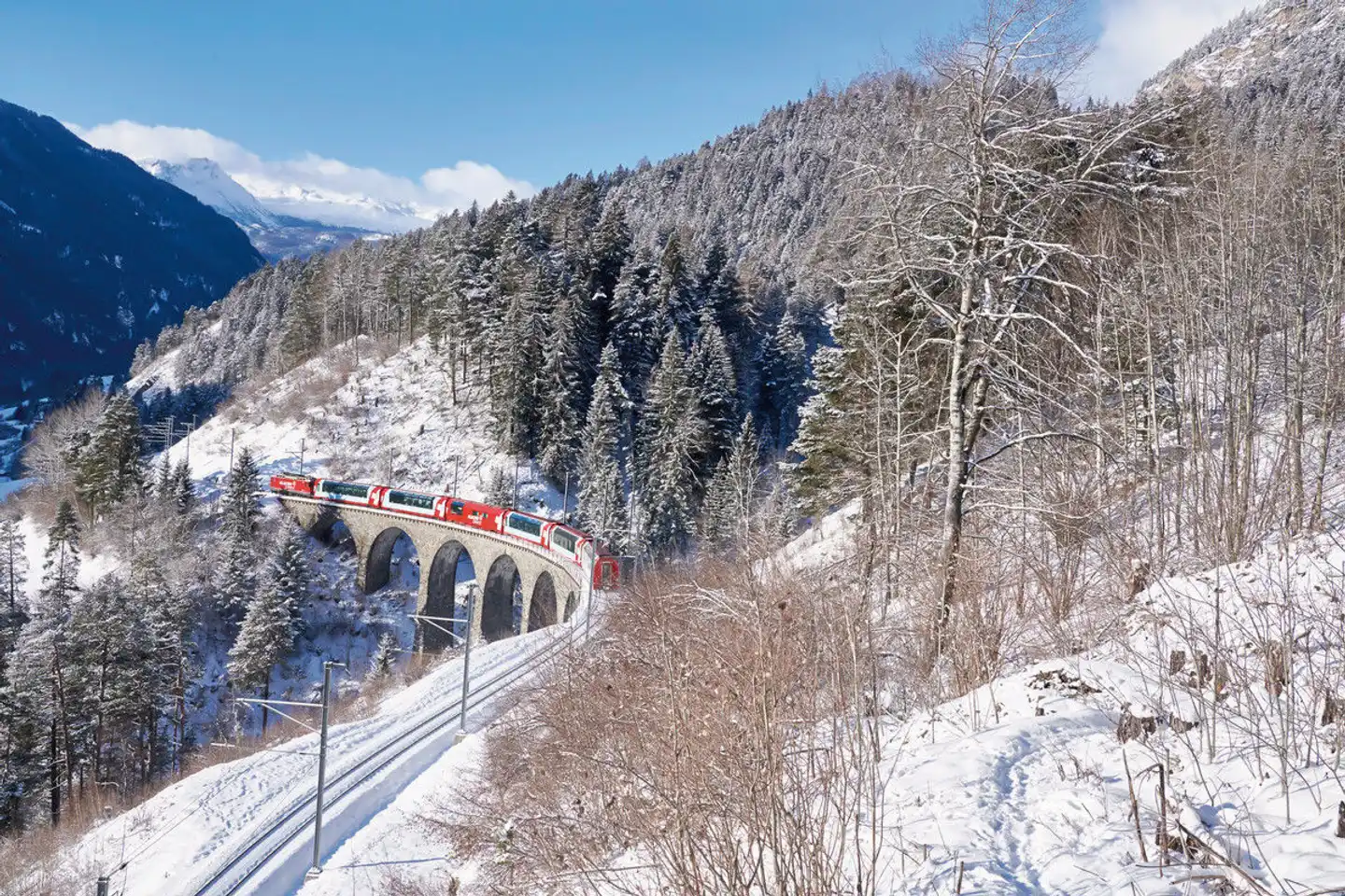 Bernina- und Glacier Express Winterzauber Tiere