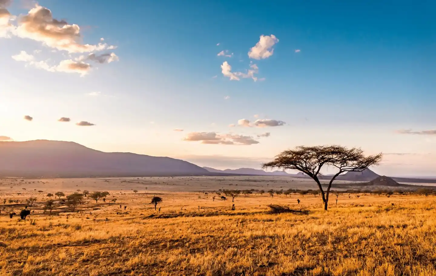 Kenia & Tansania - der Rhythmus der Wildnis Landschaft