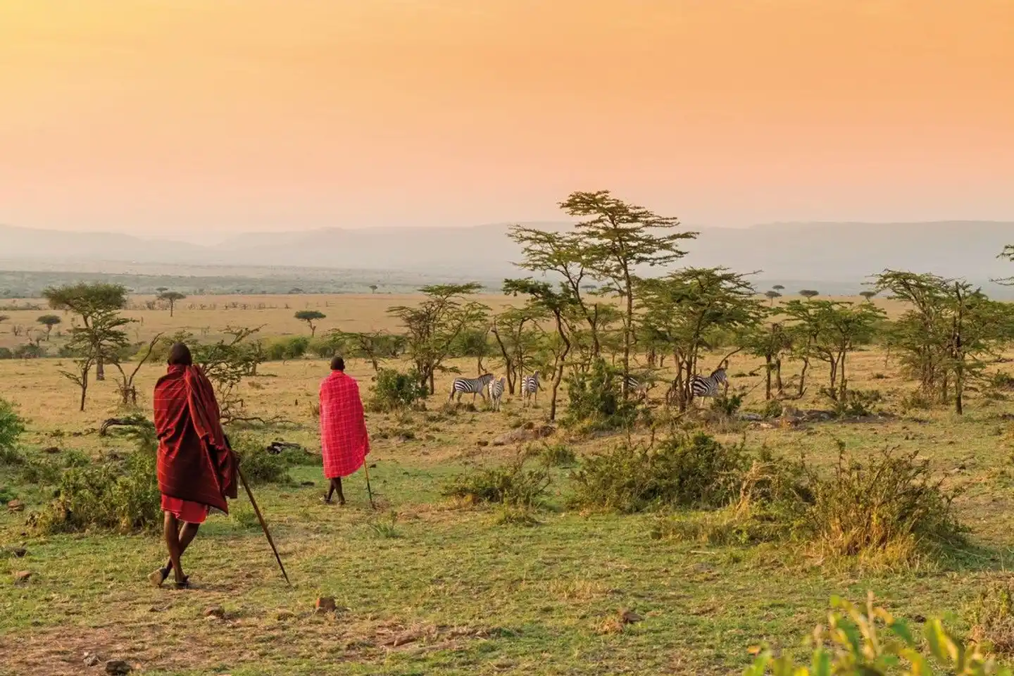 Kenia & Tansania - der Rhythmus der Wildnis Landschaft