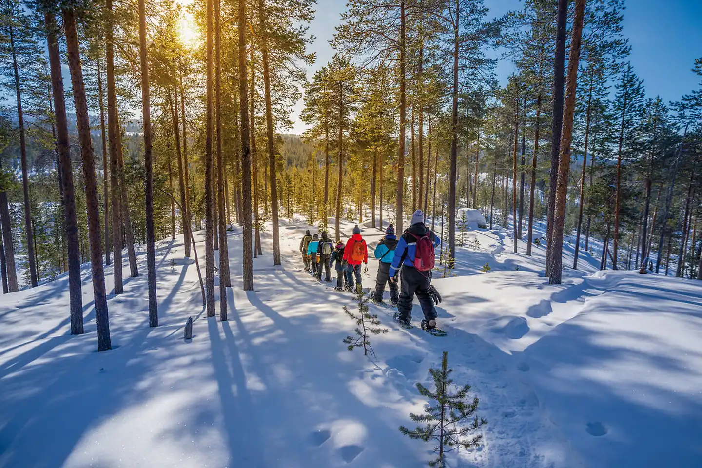 Wildnis unter dem Polarlicht - Muotka Sport und Entertainment
