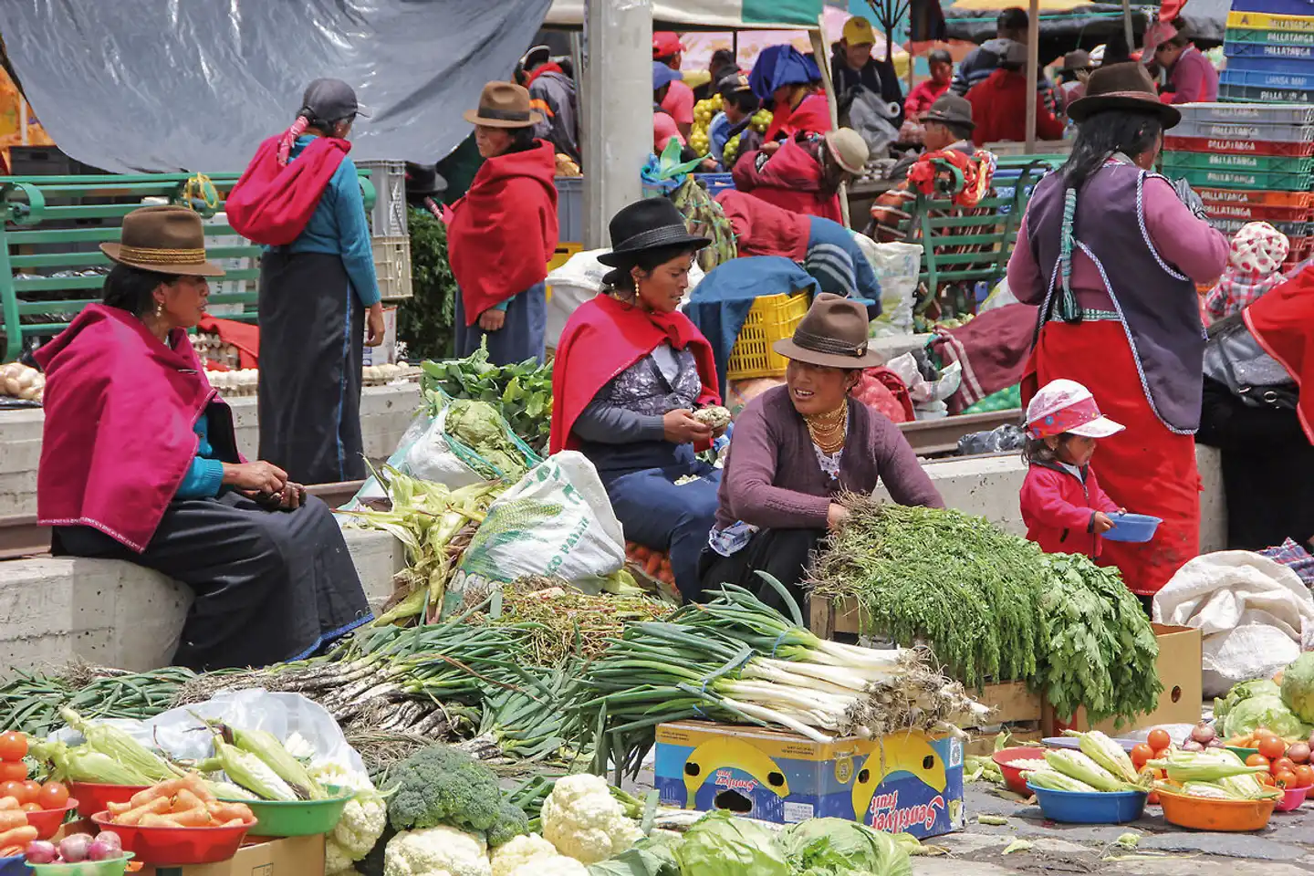 Ecuador auténtico Sport und Entertainment