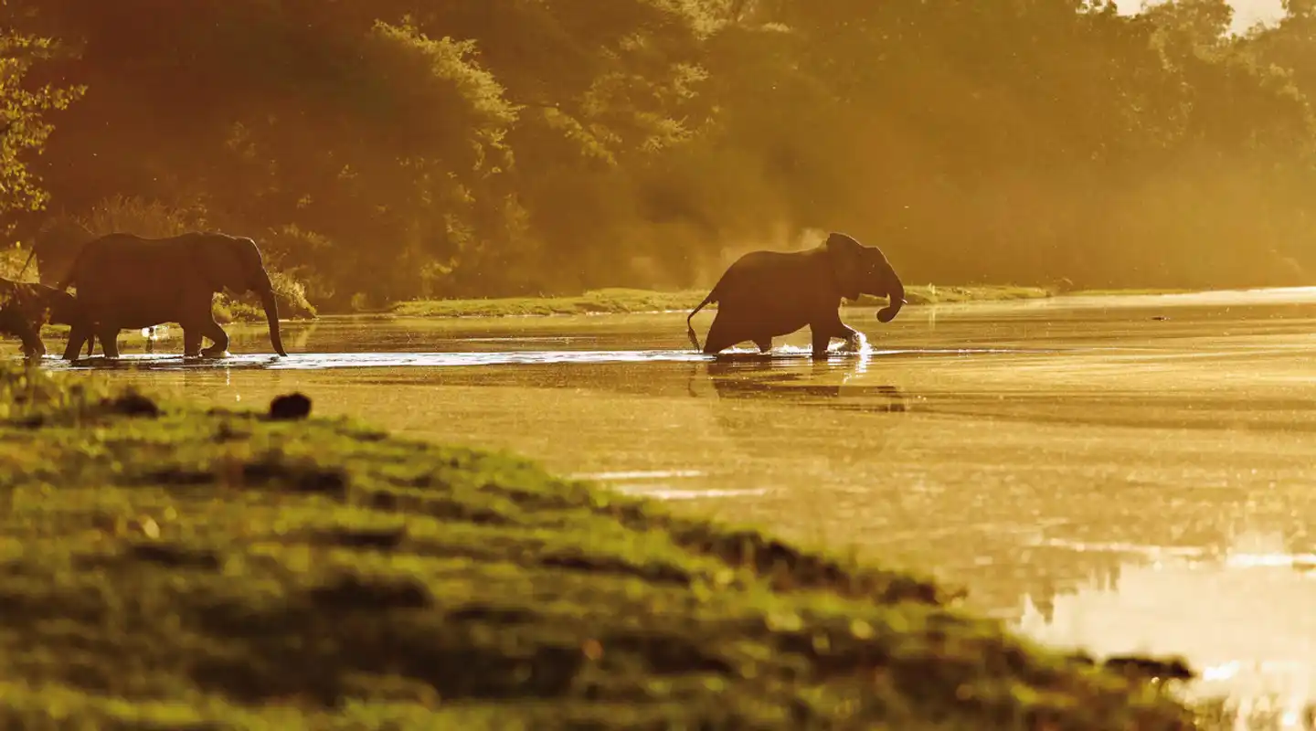 Auf den Spuren Norman Carr's Tiere