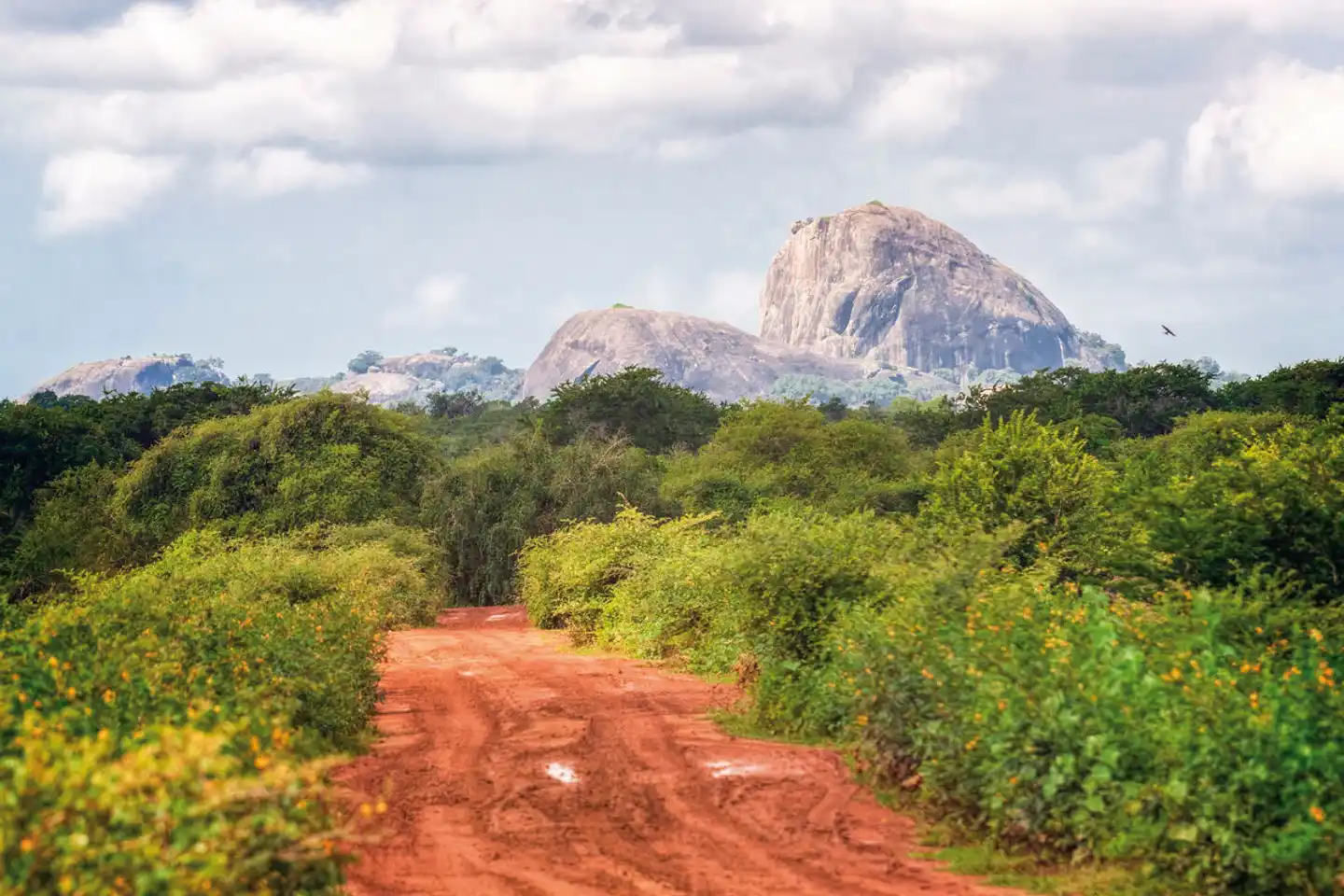 Sri Lanka für Genießer Landschaft