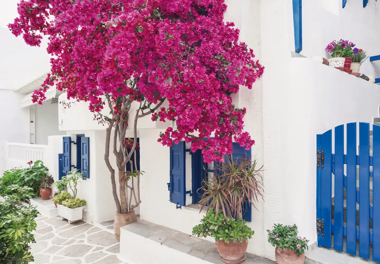 Kykladen-Inselhüpfen: Santorin, Mykonos, Paros, Naxos (15 Tage) Aussenansicht