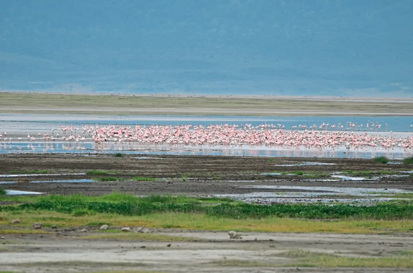 Drifters - Kenia & Tansania Explorer (Camping Tour) Aussenansicht