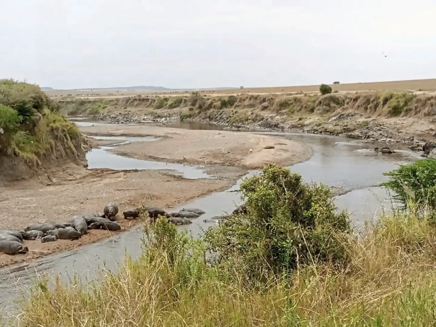 Drifters - Kenia & Tansania Explorer (Camping Tour) Landschaft