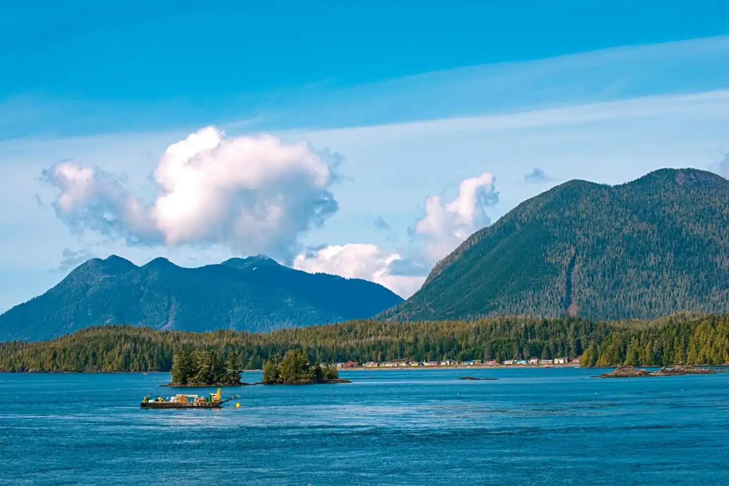 Ours, Baleines & Ile de Vancouver Landschaft