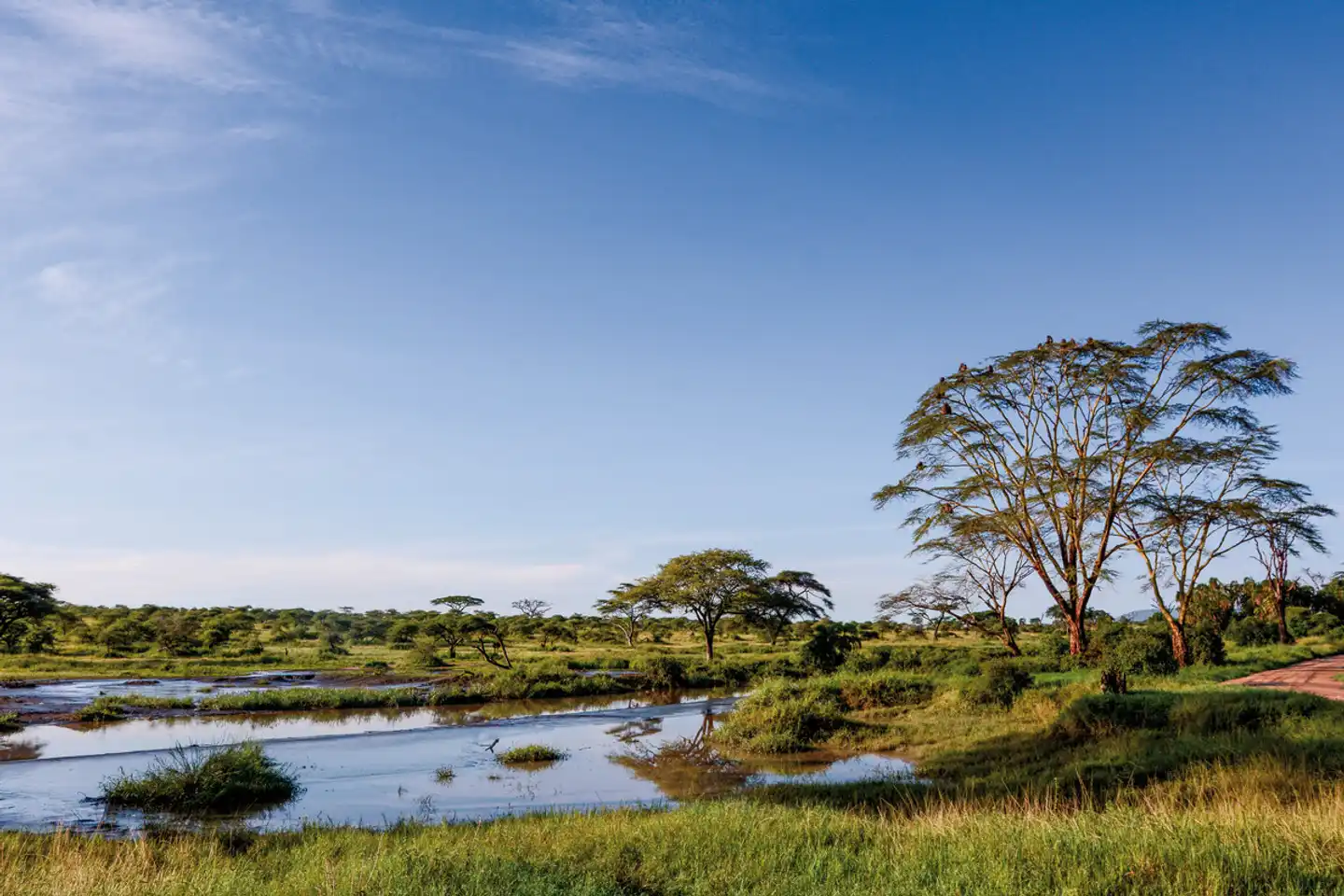 Tansania Explorer Landschaft