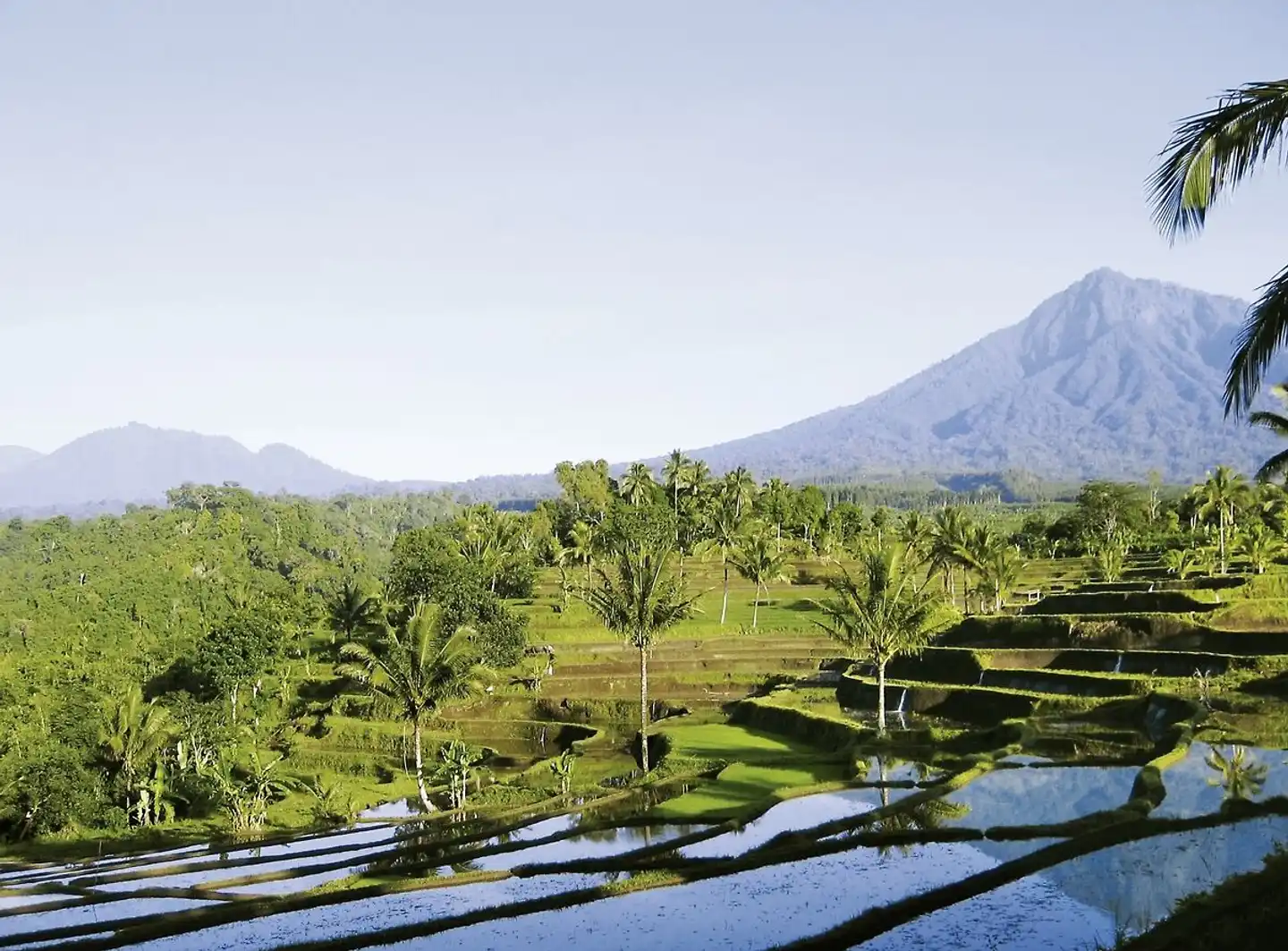 Faszination Bali & einzigartiges Ostjava (Privatreise) Landschaft